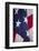 American Flag, Bellevue, Washington, USA-Merrill Images-Framed Photographic Print
