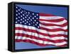 American Flag Blowing in the Wind-Joseph Sohm-Framed Stretched Canvas