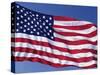 American Flag Blowing in the Wind-Joseph Sohm-Stretched Canvas