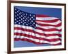 American Flag Blowing in the Wind-Joseph Sohm-Framed Photographic Print