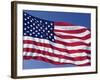 American Flag Blowing in the Wind-Joseph Sohm-Framed Photographic Print