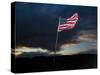 American Flag Blowing in Wind at Dusk in the Desert-James Shive-Stretched Canvas