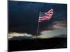 American Flag Blowing in Wind at Dusk in the Desert-James Shive-Mounted Photographic Print