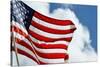 American Flag Blowing over the Clouds-Raul Rosa-Stretched Canvas