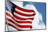 American Flag Blowing over the Clouds-Raul Rosa-Mounted Photographic Print