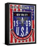 American Flag Eagle Man T Shirt Graphic Design-emeget-Framed Stretched Canvas