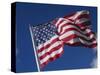 American Flag Flaps in Wind, Cle Elum, Washington, USA-Nancy & Steve Ross-Stretched Canvas