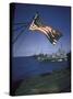 American Flag Flying over Us Navy Ships at Sea-null-Stretched Canvas