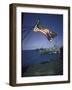 American Flag Flying over Us Navy Ships at Sea-null-Framed Photographic Print