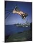 American Flag Flying over Us Navy Ships at Sea-null-Mounted Photographic Print