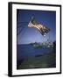 American Flag Flying over Us Navy Ships at Sea-null-Framed Photographic Print