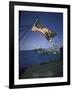 American Flag Flying over Us Navy Ships at Sea-null-Framed Photographic Print