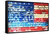 American Flag Graffiti-Sabine Jacobs-Framed Stretched Canvas