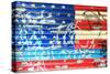 American Flag Graffiti-Sabine Jacobs-Stretched Canvas