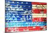 American Flag Graffiti-Sabine Jacobs-Mounted Photographic Print