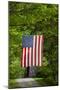 American Flag Hanging Above Gravel Road-Paul Souders-Mounted Photographic Print