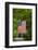 American Flag Hanging Above Gravel Road-Paul Souders-Framed Photographic Print