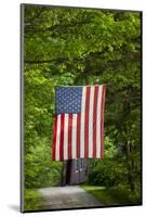 American Flag Hanging Above Gravel Road-Paul Souders-Mounted Photographic Print