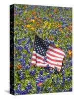 American Flag in Field of Blue Bonnets, Paintbrush, Texas Hill Country, USA-Darrell Gulin-Stretched Canvas