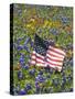 American Flag in Field of Blue Bonnets, Paintbrush, Texas Hill Country, USA-Darrell Gulin-Stretched Canvas