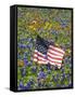 American Flag in Field of Blue Bonnets, Paintbrush, Texas Hill Country, USA-Darrell Gulin-Framed Stretched Canvas