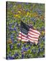 American Flag in Field of Blue Bonnets, Paintbrush, Texas Hill Country, USA-Darrell Gulin-Stretched Canvas