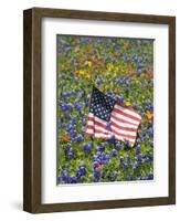 American Flag in Field of Blue Bonnets, Paintbrush, Texas Hill Country, USA-Darrell Gulin-Framed Photographic Print