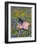 American Flag in Field of Blue Bonnets, Paintbrush, Texas Hill Country, USA-Darrell Gulin-Framed Photographic Print