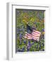 American Flag in Field of Blue Bonnets, Paintbrush, Texas Hill Country, USA-Darrell Gulin-Framed Photographic Print