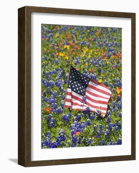 American Flag in Field of Blue Bonnets, Paintbrush, Texas Hill Country, USA-Darrell Gulin-Framed Photographic Print