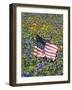 American Flag in Field of Blue Bonnets, Paintbrush, Texas Hill Country, USA-Darrell Gulin-Framed Photographic Print