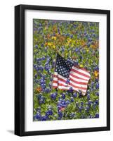 American Flag in Field of Blue Bonnets, Paintbrush, Texas Hill Country, USA-Darrell Gulin-Framed Photographic Print