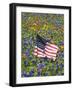 American Flag in Field of Blue Bonnets, Paintbrush, Texas Hill Country, USA-Darrell Gulin-Framed Photographic Print