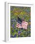 American Flag in Field of Blue Bonnets, Paintbrush, Texas Hill Country, USA-Darrell Gulin-Framed Photographic Print