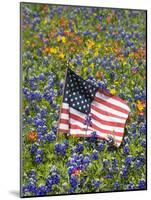 American Flag in Field of Blue Bonnets, Paintbrush, Texas Hill Country, USA-Darrell Gulin-Mounted Photographic Print