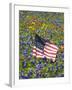 American Flag in Field of Blue Bonnets, Paintbrush, Texas Hill Country, USA-Darrell Gulin-Framed Photographic Print