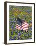 American Flag in Field of Blue Bonnets, Paintbrush, Texas Hill Country, USA-Darrell Gulin-Framed Photographic Print