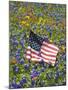 American Flag in Field of Blue Bonnets, Paintbrush, Texas Hill Country, USA-Darrell Gulin-Mounted Photographic Print