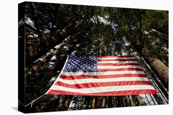 American Flag in Forest, Washington-Paul Souders-Stretched Canvas