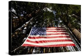 American Flag in Forest, Washington-Paul Souders-Stretched Canvas