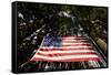 American Flag in Forest, Washington-Paul Souders-Framed Stretched Canvas