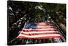American Flag in Forest, Washington-Paul Souders-Stretched Canvas