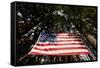 American Flag in Forest, Washington-Paul Souders-Framed Stretched Canvas