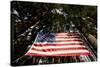 American Flag in Forest, Washington-Paul Souders-Stretched Canvas