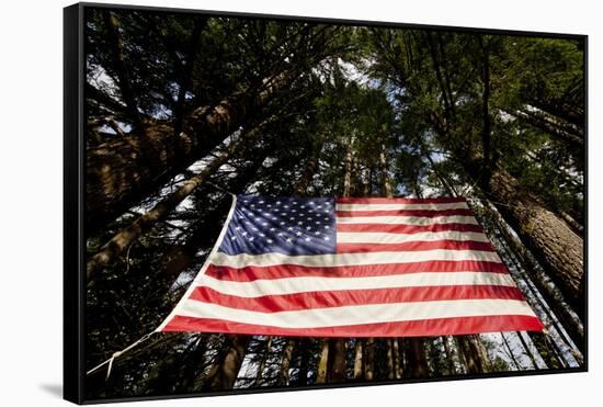 American Flag in Forest, Washington-Paul Souders-Framed Stretched Canvas