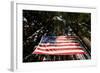 American Flag in Forest, Washington-Paul Souders-Framed Photographic Print