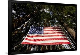 American Flag in Forest, Washington-Paul Souders-Framed Photographic Print