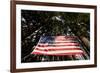 American Flag in Forest, Washington-Paul Souders-Framed Photographic Print