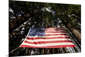 American Flag in Forest, Washington-Paul Souders-Mounted Photographic Print