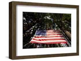 American Flag in Forest, Washington-Paul Souders-Framed Photographic Print